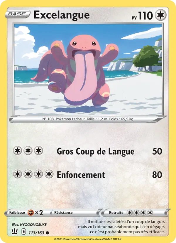 113/163 - Excelangue