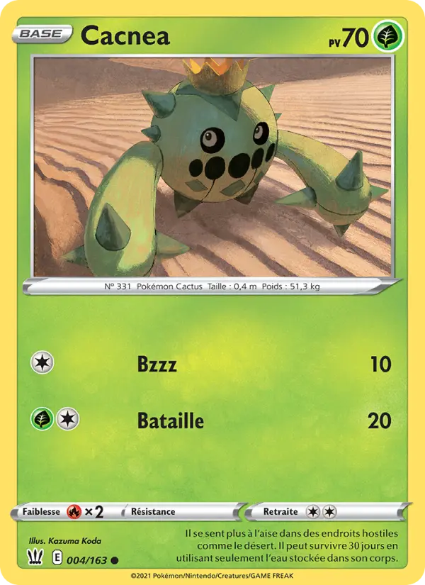004/163 - Cacnea