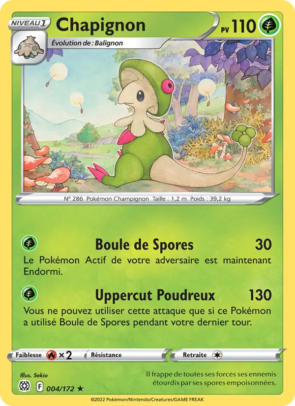004/172 - Chapignon