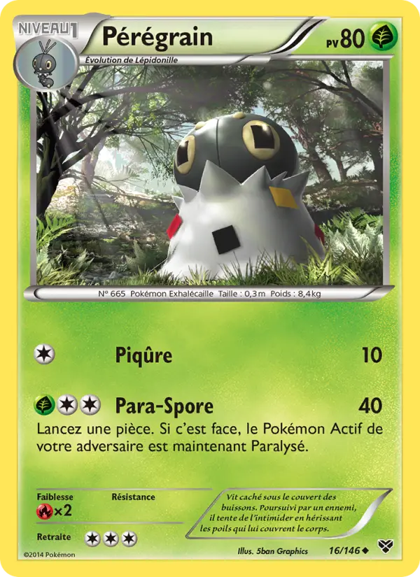 016/146 - Pérégrain