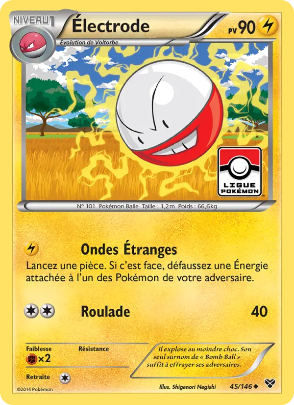 045/146 - Électrode