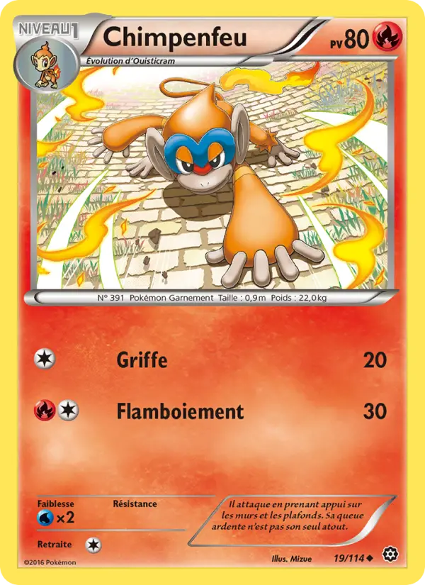 Chimpenfeu — Carte Pokémon 19 Offensive Vapeur