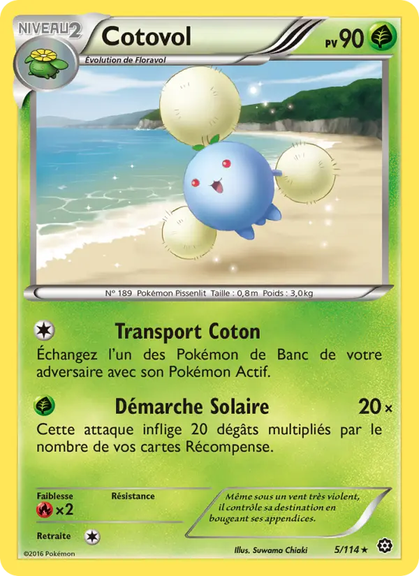 Cotovol — Carte Pokémon 5 Offensive Vapeur