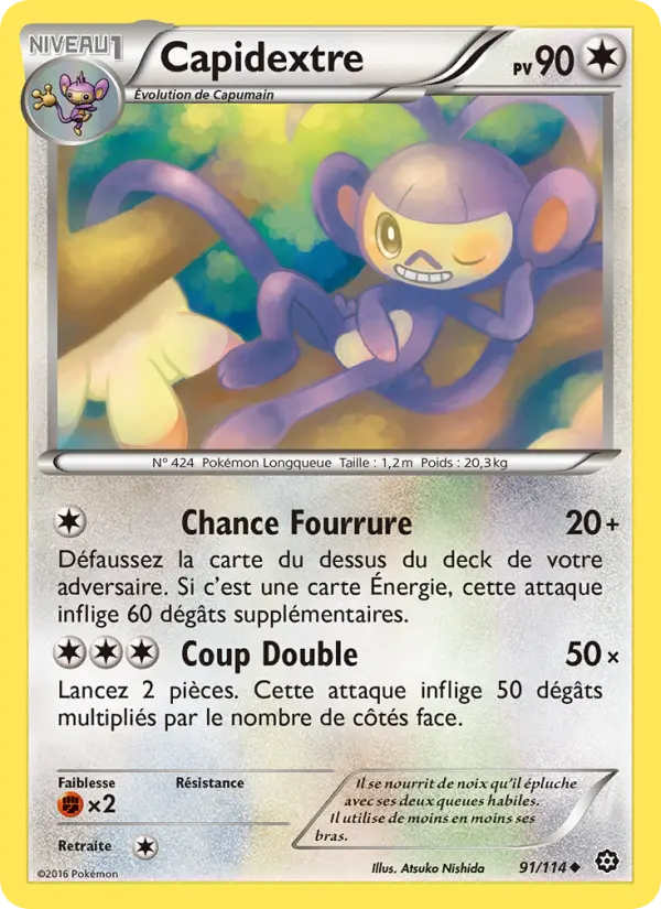 091/114 - Capidextre
