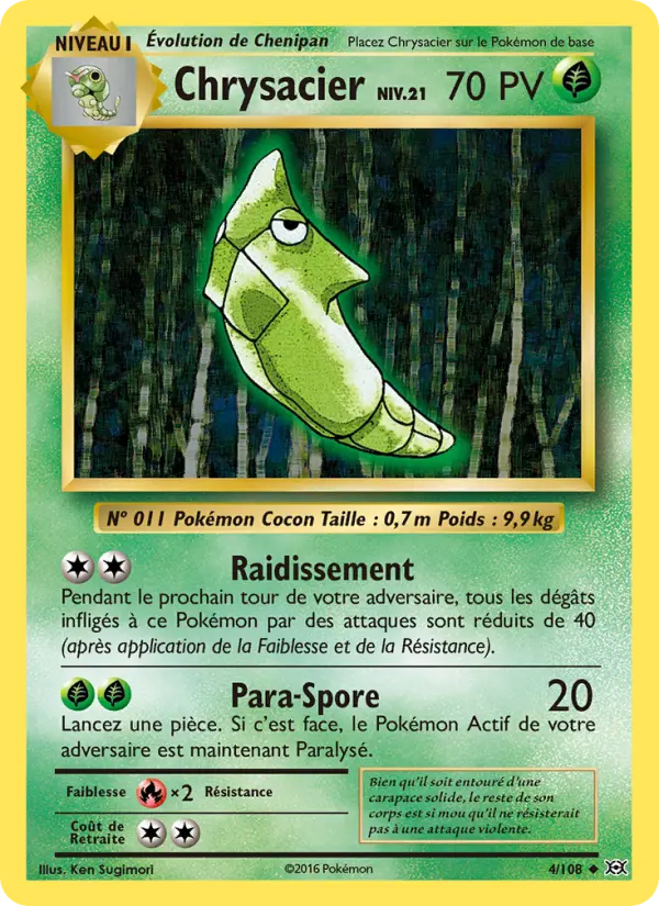 004/108 - Chrysacier