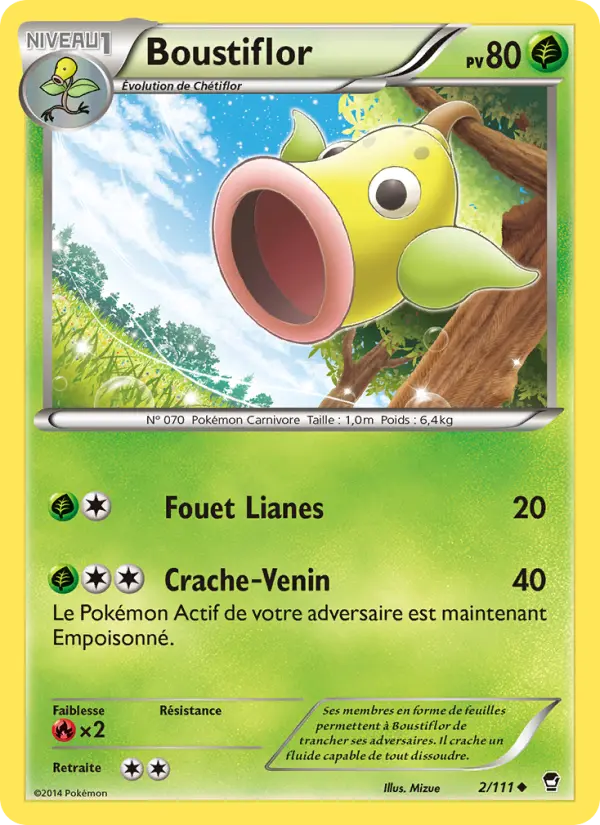 002/111 - Boustiflor