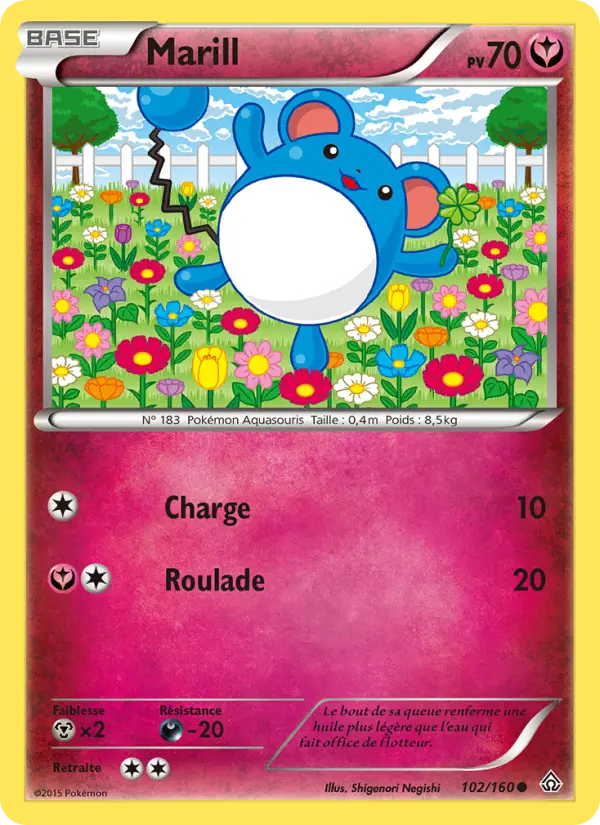 102/160 - Marill
