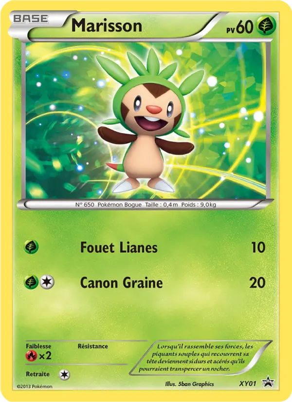 Marisson — Carte Pokémon XY01 Promo XY