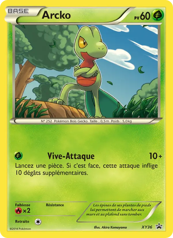 Arcko — Carte Pokémon XY36 Promo XY
