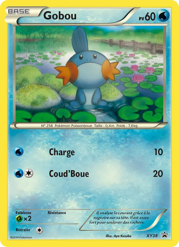 Gobou — Carte Pokémon XY38 Promo XY