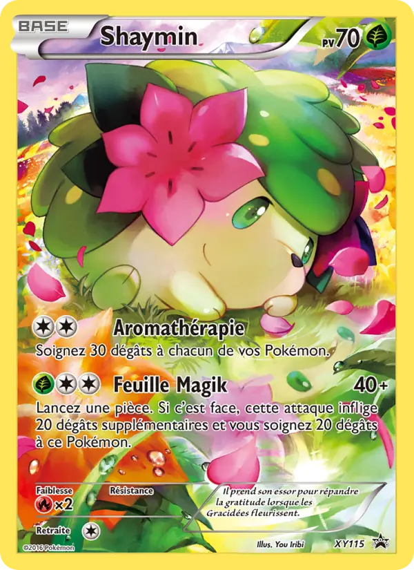 XY115 - Shaymin
