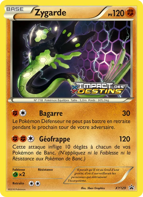 XY129 - Zygarde
