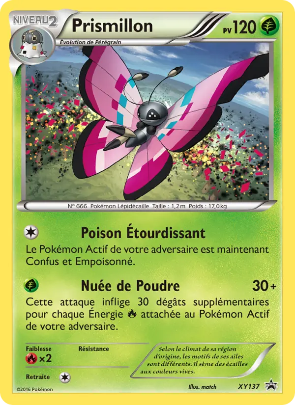XY137 - Prismillon