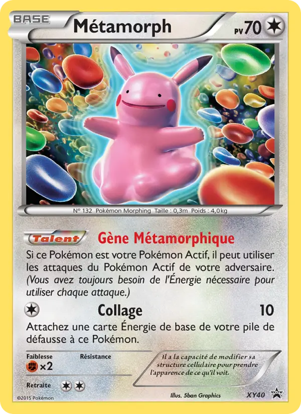 XY040 - Métamorph