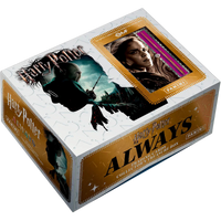 Hermione Granger - Treasure Box - Harry Potter ALWAYS